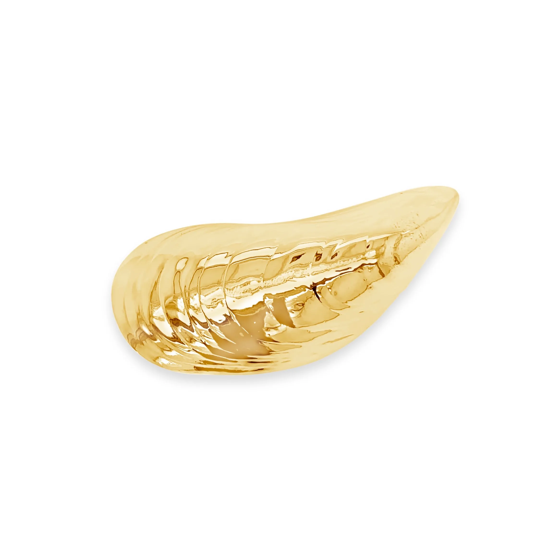 Large Mussel Shell Pin