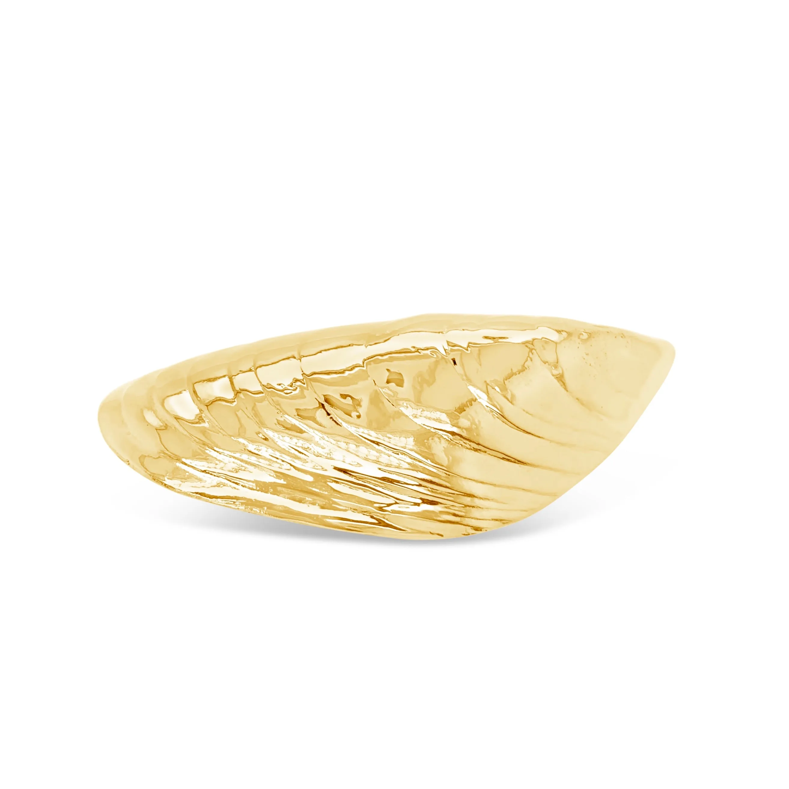 Large Mussel Shell Pin