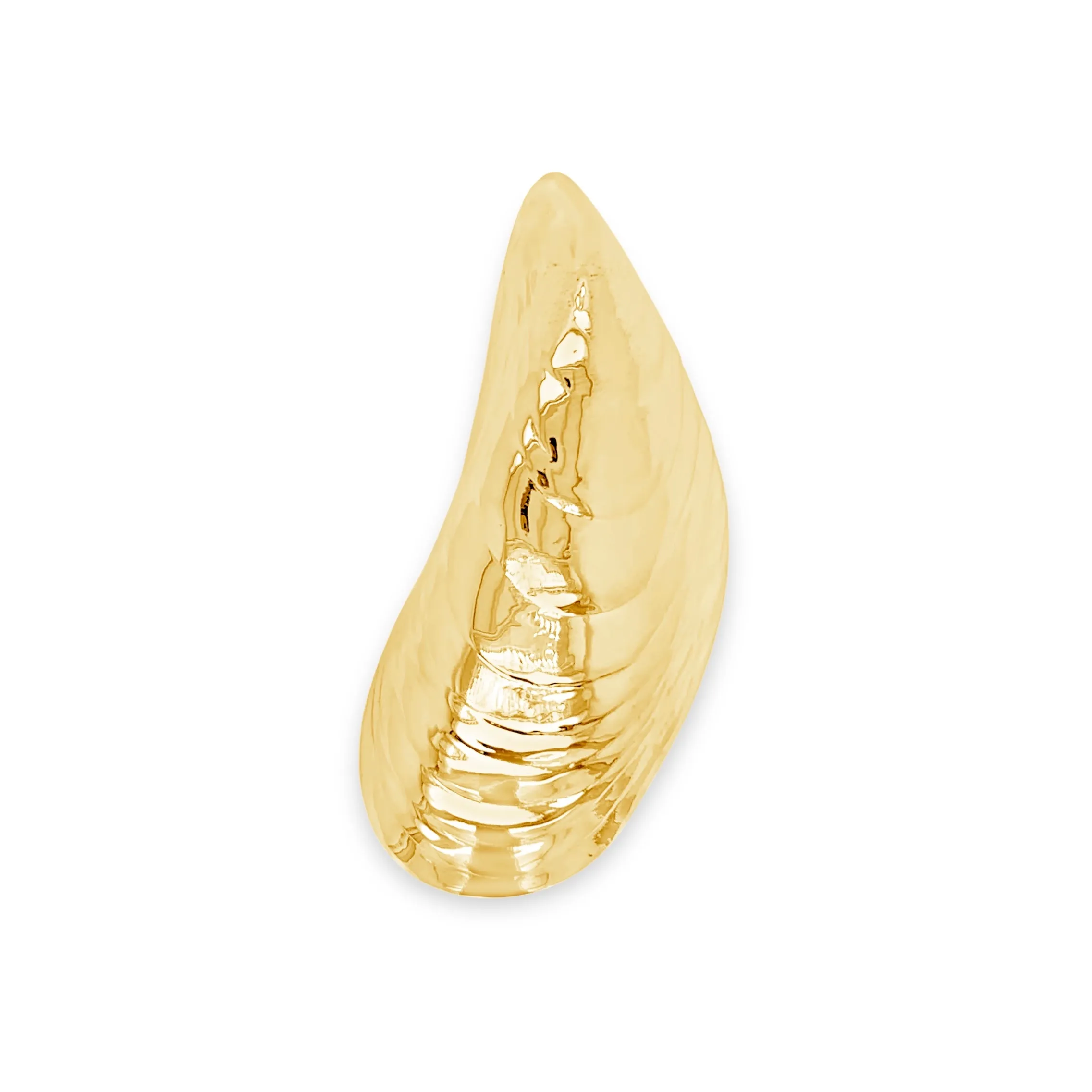 Large Mussel Shell Pin